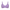 Lavendar